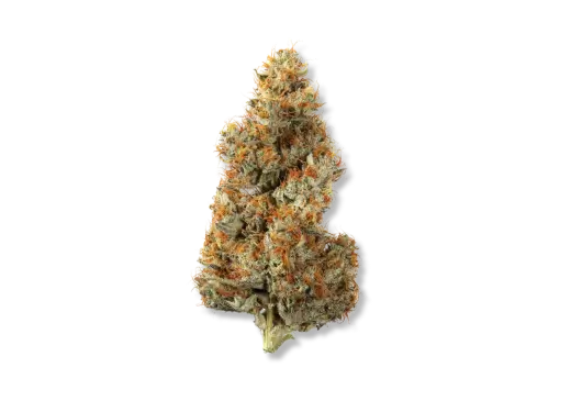Green Premium cannabis flower bud
